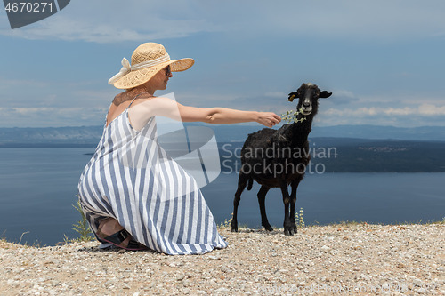 Image of Young attractive female traveler wearing striped summer dress and straw hat squatting, feeding and petting black sheep while traveling Adriatic coast of Croatia