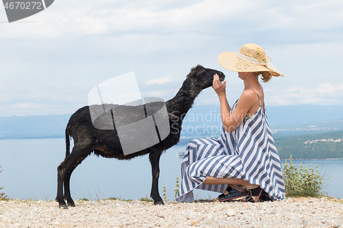 Image of Young attractive female traveler wearing striped summer dress and straw hat squatting, feeding and petting black sheep while traveling Adriatic coast of Croatia