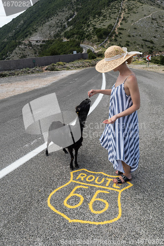 Image of Young attractive woman wearing striped summer dress and straw hat standing on an endless straight empty road in the middle of nowhere on the Route 66 road and feeding black sheep.