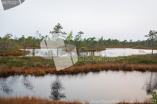 Image of swamp lakes in autumn