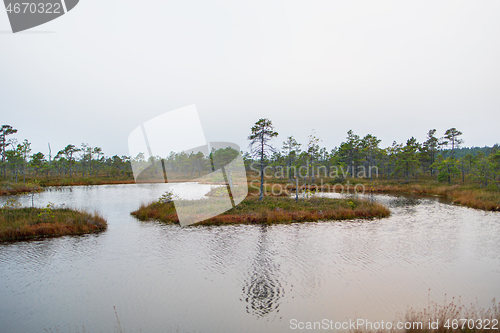 Image of swamp lakes in autumn