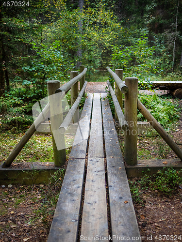 Image of wooden nature trail 