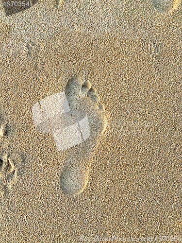 Image of footprint in the sand