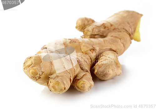 Image of ginger on white background