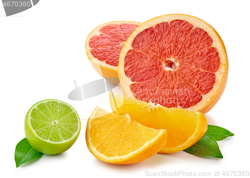 Image of various citrus fruits