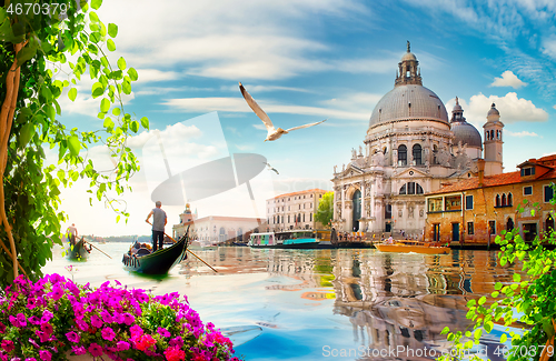 Image of Flowers and Grand Canal