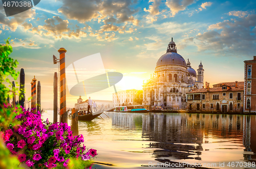 Image of Flowers in Venice