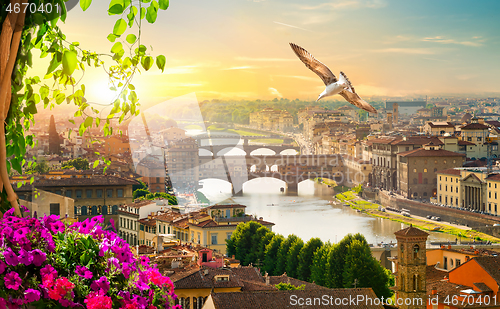 Image of Bridges of Florence