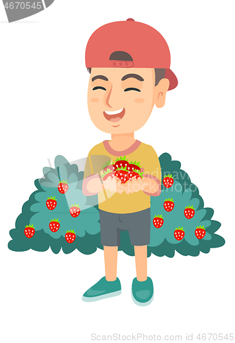 Image of Caucasian boy holding fresh strawberries in hands.