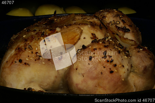 Image of Chicken