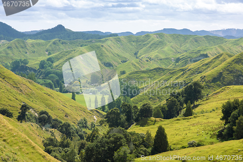 Image of typical rural landscape in New Zealand