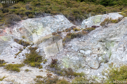 Image of geothermal activity at Rotorua in New Zealand