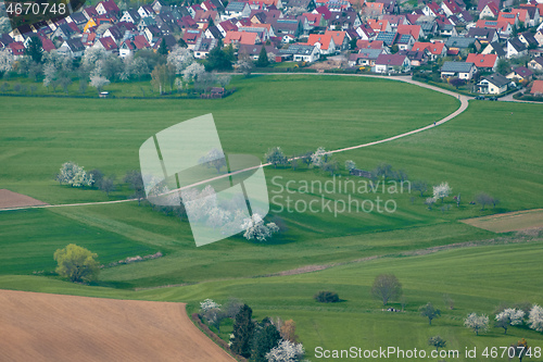 Image of green meadow with blossoming trees and houses