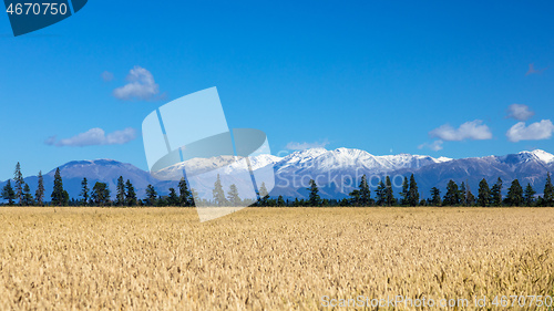 Image of Mount Taylor and Mount Hutt scenery in south New Zealand