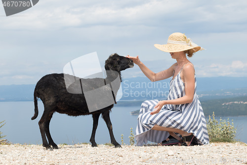 Image of Young attractive female traveler wearing striped summer dress and straw hat squatting, feeding and petting black sheep while traveling Adriatic coast of Croatia