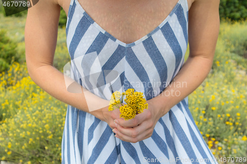 Image of Torso of young woman wearing striped summer dress in super bloom of wildflowers, holding bouquet of yellow flowers in beautiful nature of Adriatic sea coastal nature of Croatia