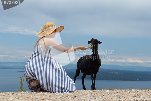 Image of Young attractive female traveler wearing striped summer dress and straw hat squatting, feeding and petting black sheep while traveling Adriatic coast of Croatia