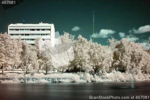 Image of Infrared