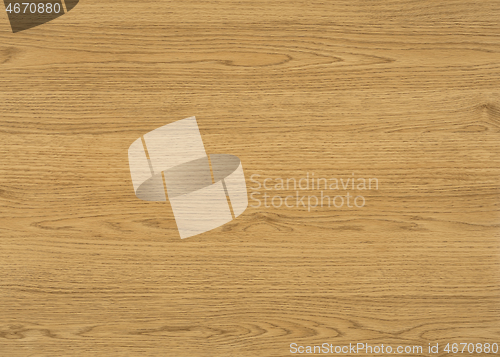 Image of wood grain surface