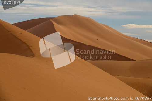 Image of Big sand dunes in desert