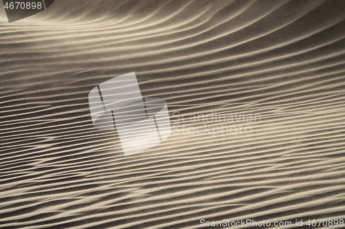 Image of Wind blowing over sand dunes