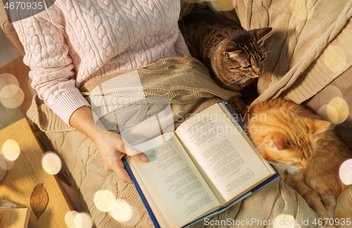 Image of red and tabby and owner reading book at home