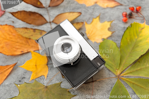 Image of film camera and autumn leaves on gray stone