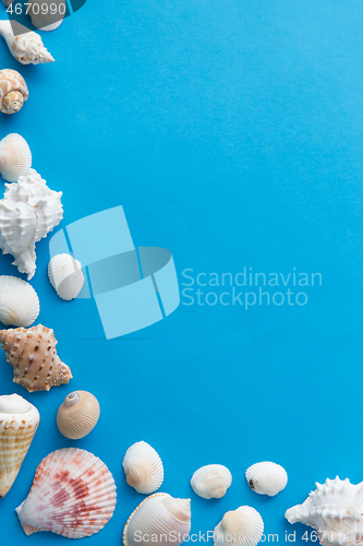 Image of frame of different sea shells on blue background