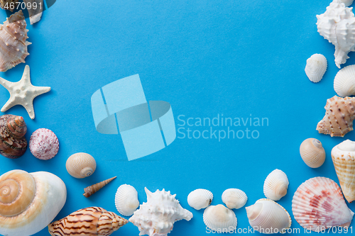 Image of frame of different sea shells on blue background