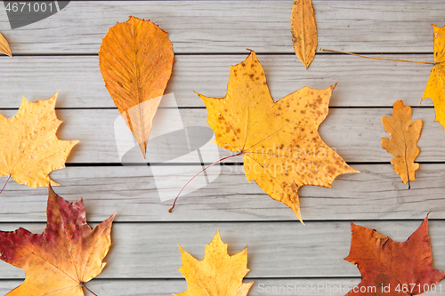 Image of dry fallen autumn leaves on gray wooden boards