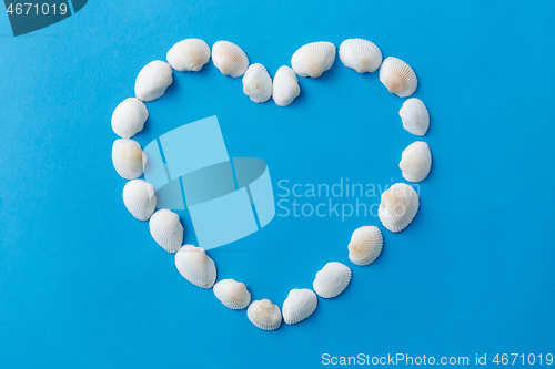 Image of sea shells in shape of heart on blue background