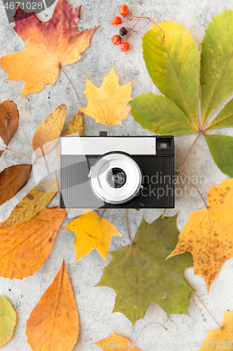 Image of film camera and autumn leaves on gray stone