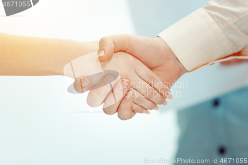 Image of Boss approving and congratulating young successful employee