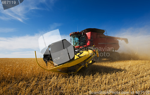 Image of Harvesting wheat