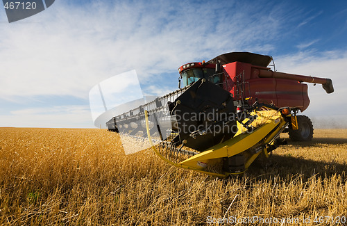 Image of harvesting