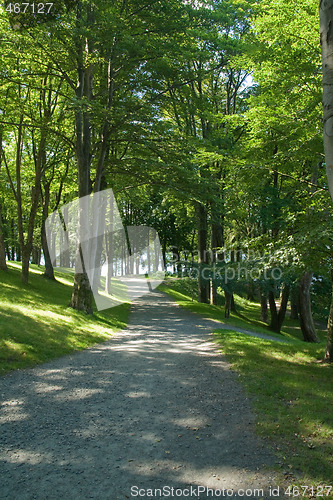 Image of Path in the park