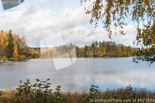 Image of Serene lake view in fall season