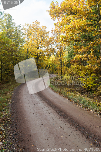 Image of Winding gravel road in fall season colors