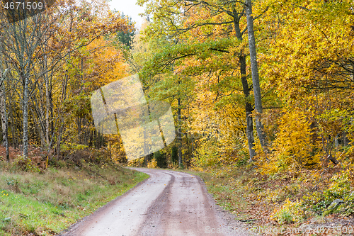 Image of Winding road in fall colors