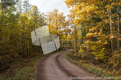 Image of Road less travelled in fall colors