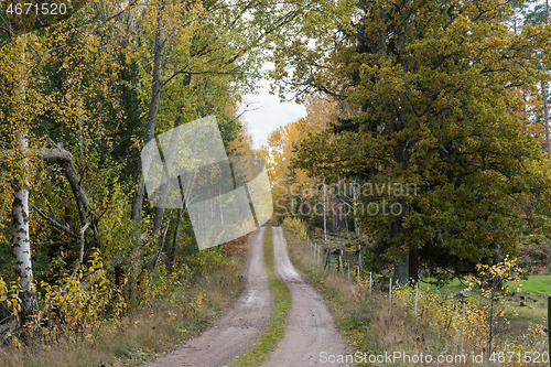 Image of Dirt road in fall colors