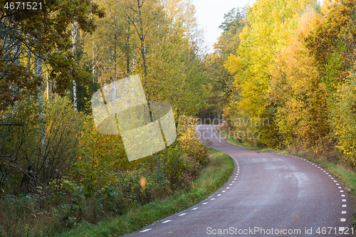 Image of Fall season by a less travelled road