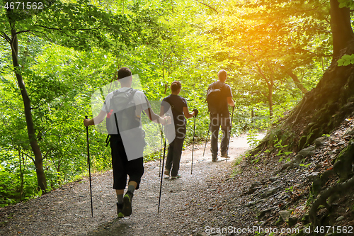 Image of Two men and a woman walking by hiking trail