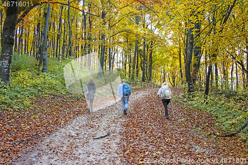 Image of Two women and a man walk on a hiking forest trail colored with a