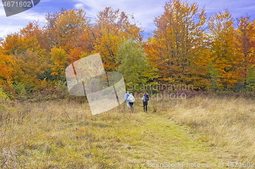 Image of Two women and a man walk on a hiking forest trail colored with a