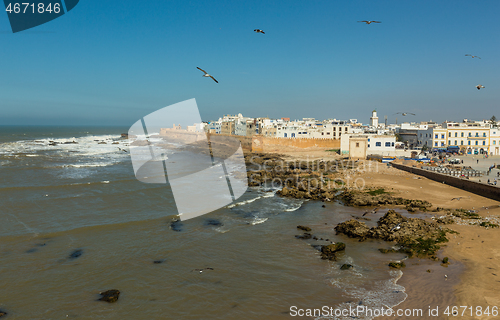 Image of Seagulls over Essaouira old city, Morocco