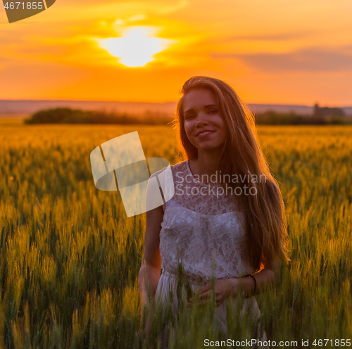 Image of Pretty girl in field at sunset
