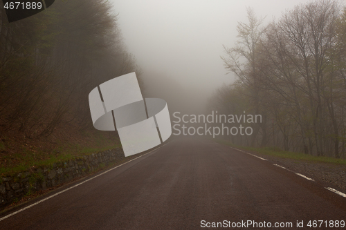 Image of fog road in forest at morning