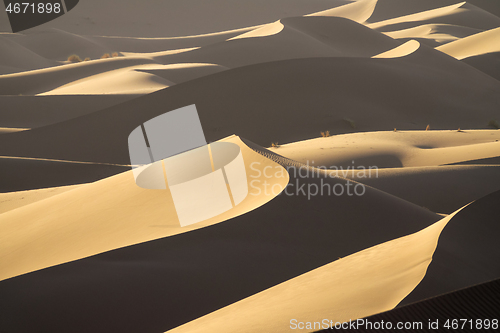 Image of Background with sandy dunes in desert