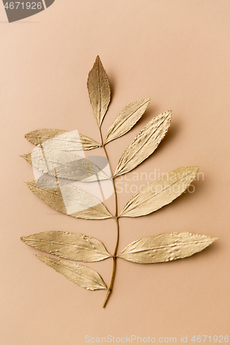 Image of golden ash tree leaf on beige background